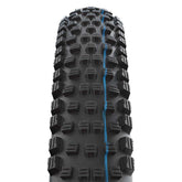 Schwalbe Wicked Will Evo Super Ground Folding TLE